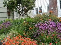 9a_Secret_Garden_Rock_Steps.html