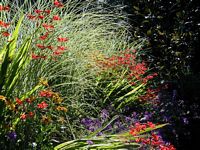 7_Brick_Wall_Bed_2.html