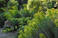 9_Drought_Resistant_Planting.html